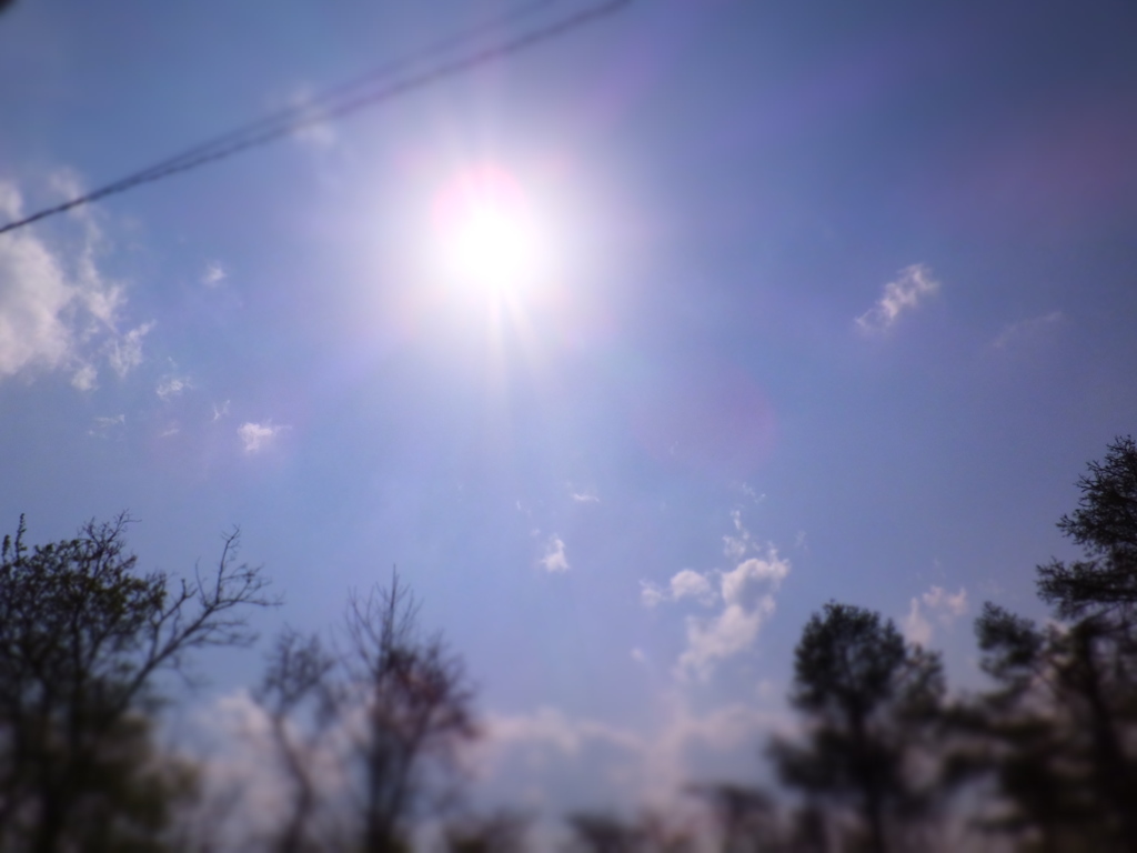 DSCF0038