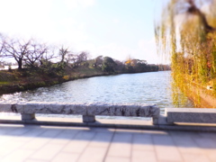DSCF5050