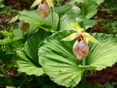 P5040729