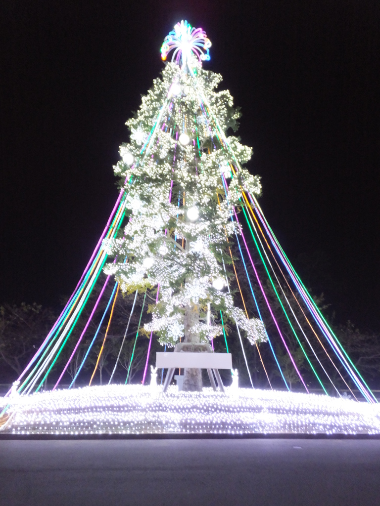 DSCF5016