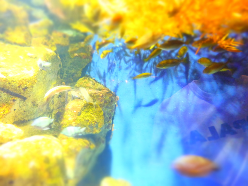DSCF2458