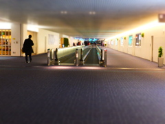 DSCF1100