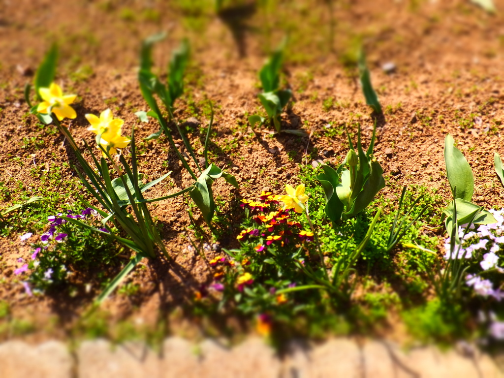 DSCF0163