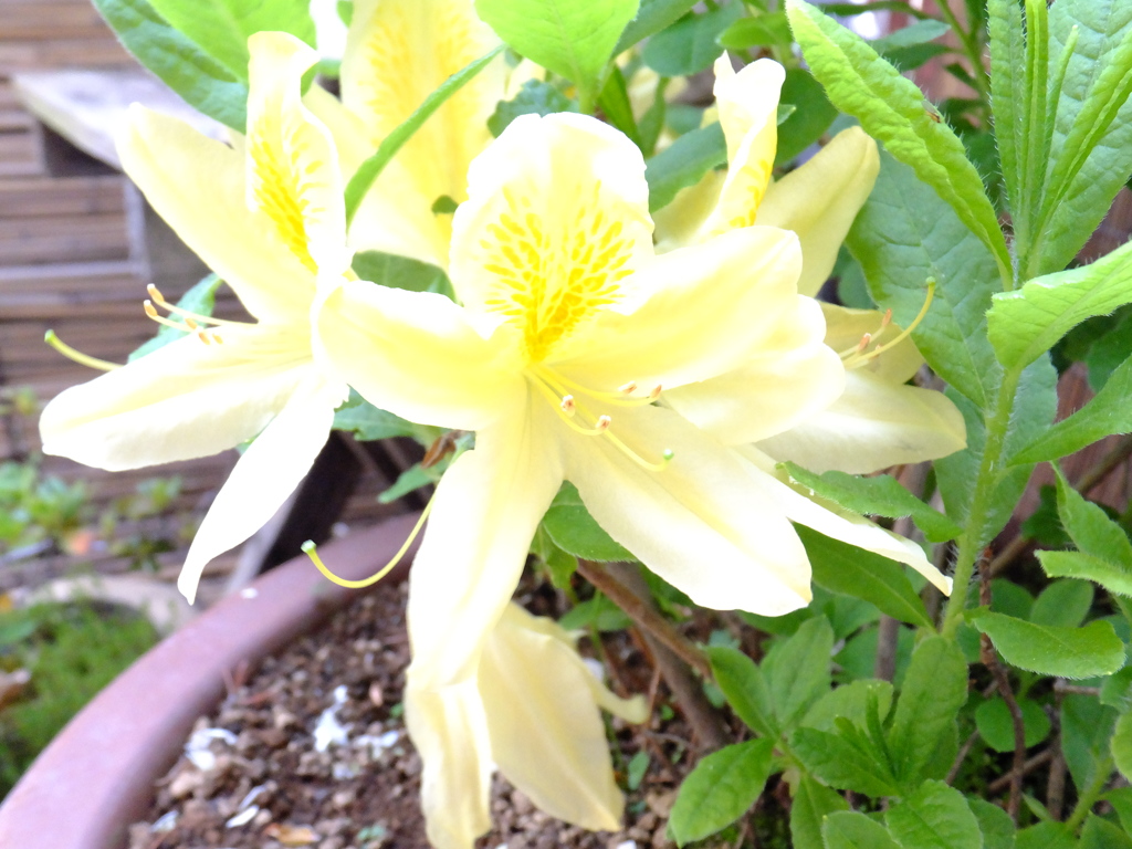 DSCF0295