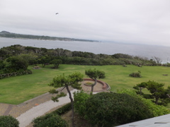 DSCF5373