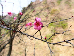 P3290599