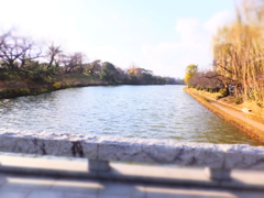 DSCF5051