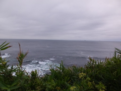 DSCF5355
