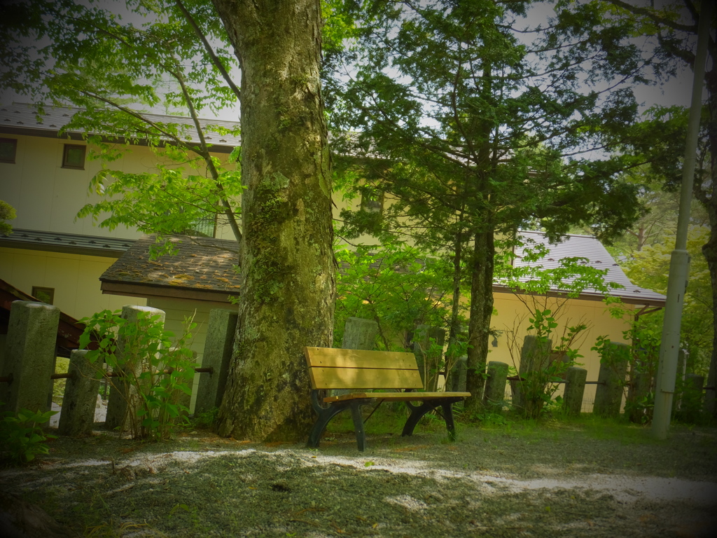 DSCF0236