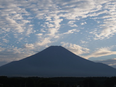 P9021919