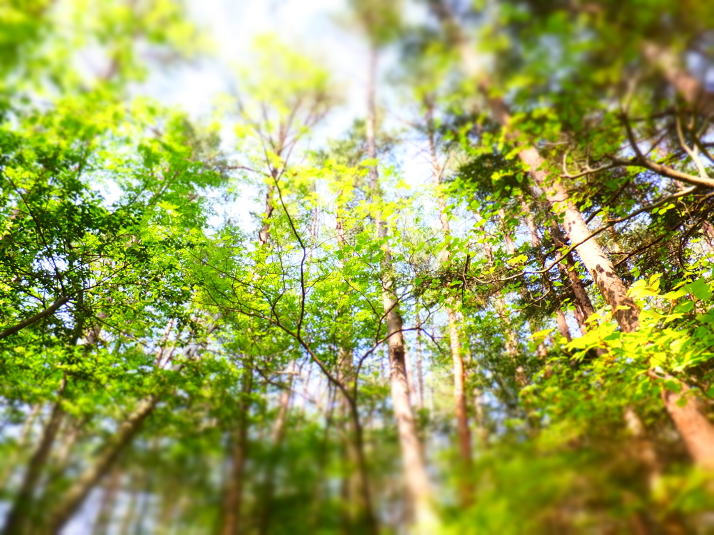 DSCF0289