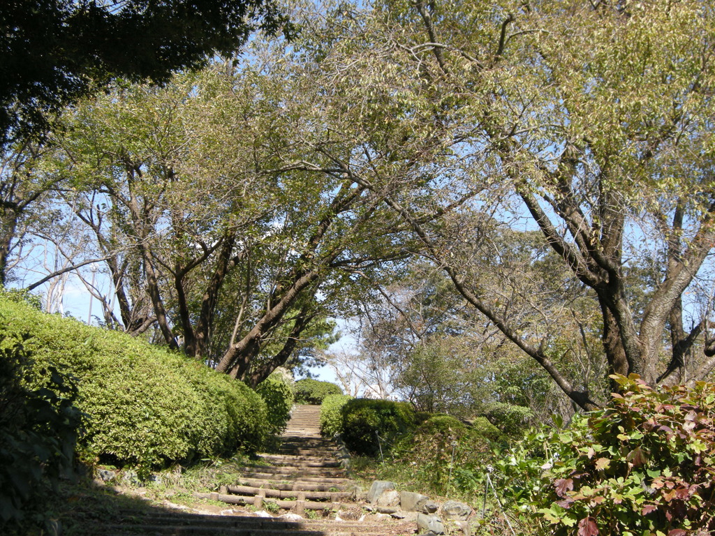 DSCN2808