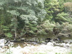 DSCN2374