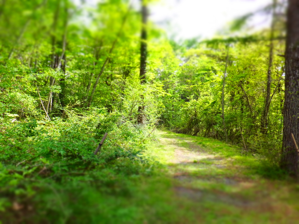 DSCF0202