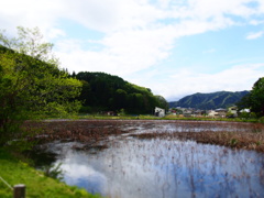 P5040792
