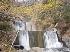 P3290603
