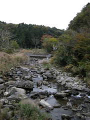 DSCN2362