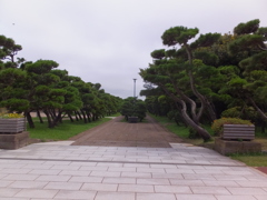 DSCF5352