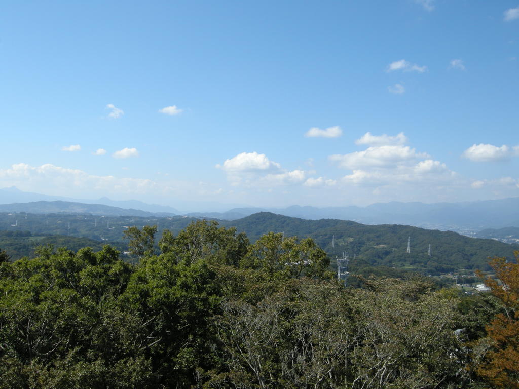 DSCN2818