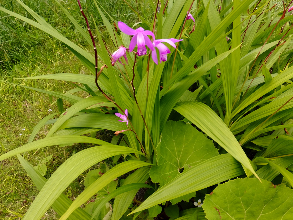 DSCF0267