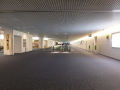 DSCF1098