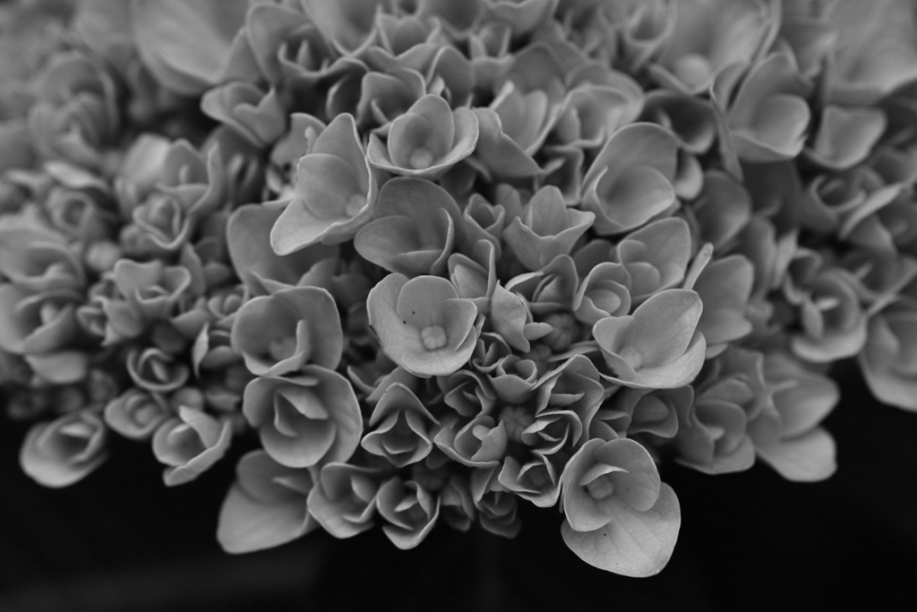 花束