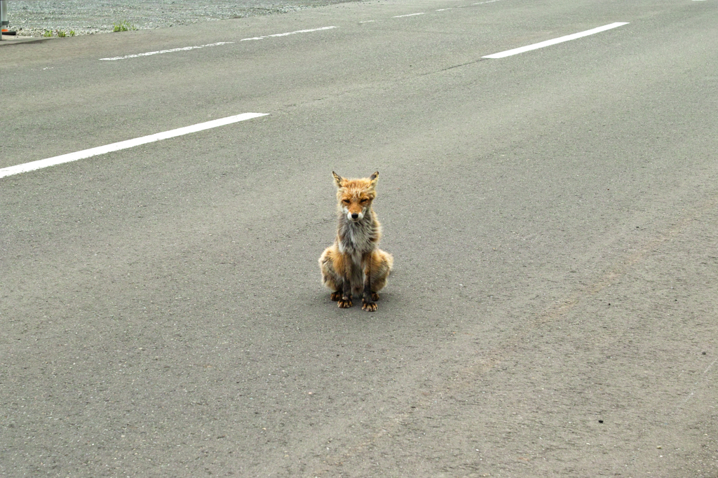 しょんぼり