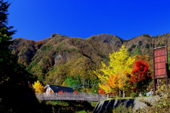 青赤黄