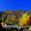 青赤黄