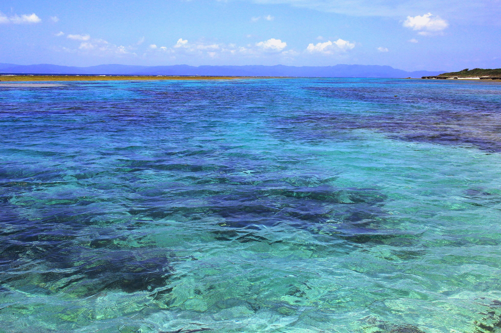 青海