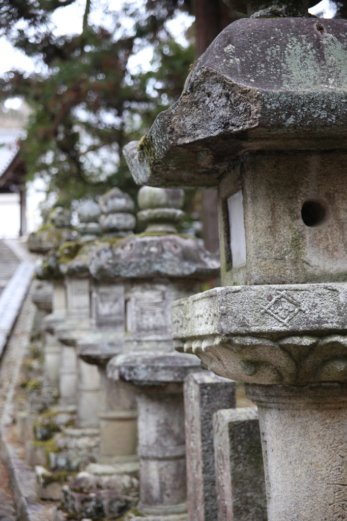 東大寺　灯篭
