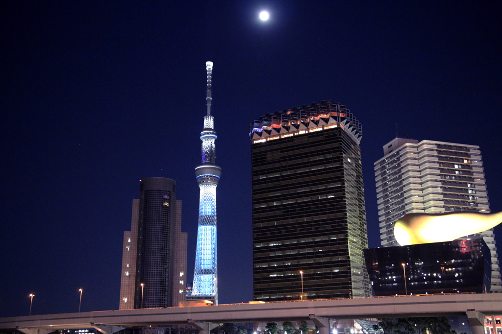 定番　スカイツリー