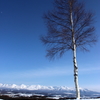 十勝岳を見下ろして