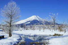 雪の中の逆さ富士