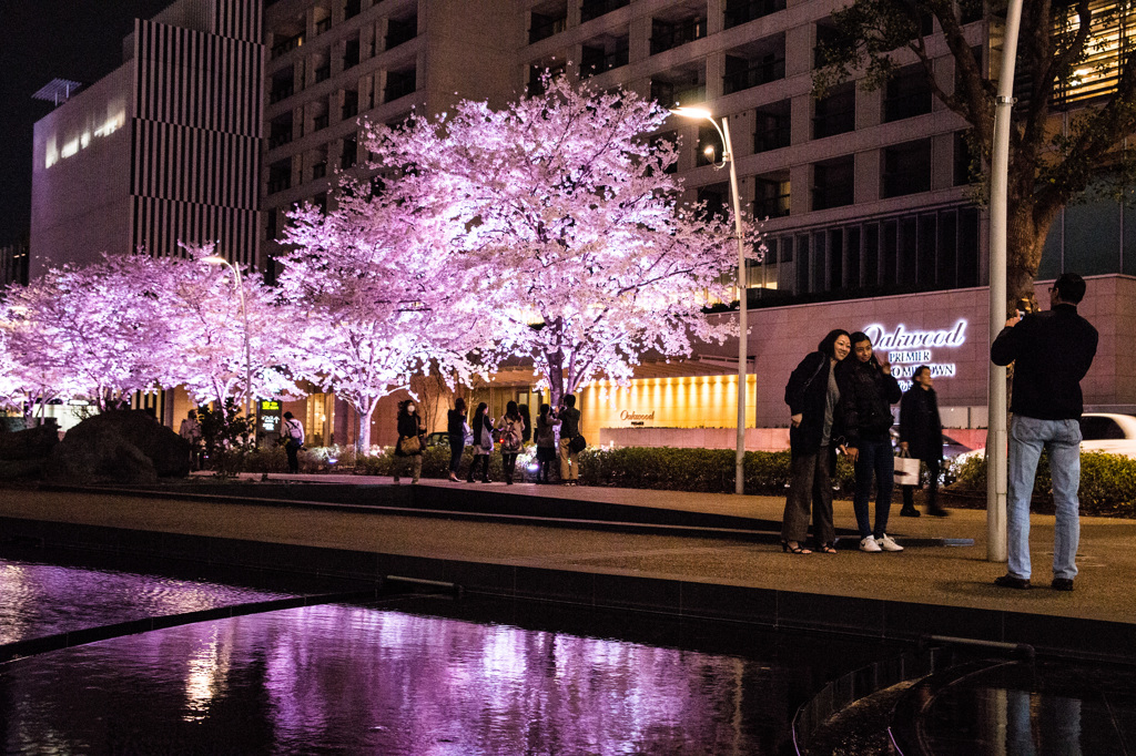 Tokyo Sakura　Ⅴ