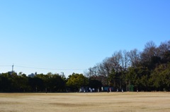 日曜日のグランド