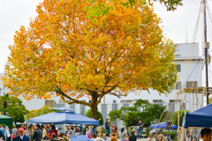 sunday market