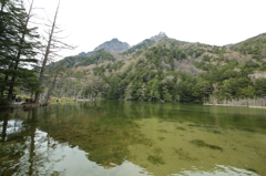 上高地・明神池。