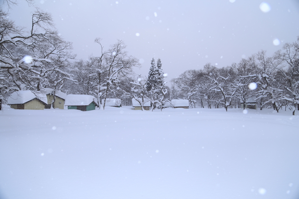 裏磐梯の雪