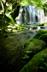 福島・達沢不動滝