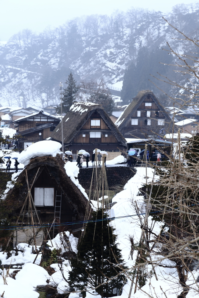 白川郷1