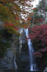 箕面の滝
