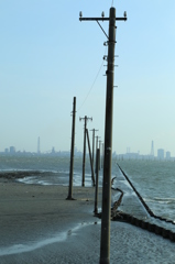海へ向かう電柱。