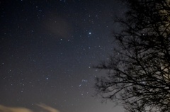 今年最初の星空