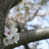 こんなとこからも