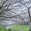 IMGP0892