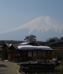 忍野八海から富士山を望む