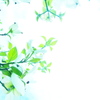 Spring Flowers 03