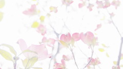 歌を歌おう