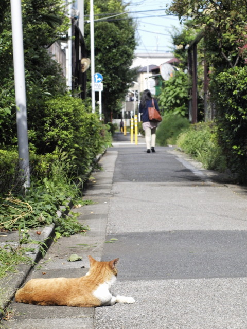 お姉さんもふっていきなよ